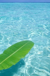 无惊不欢！欧国联胜负难料