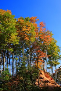 大连一方主场战平河北华夏幸福
