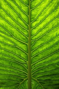 一番激战过后，冠军无悬念