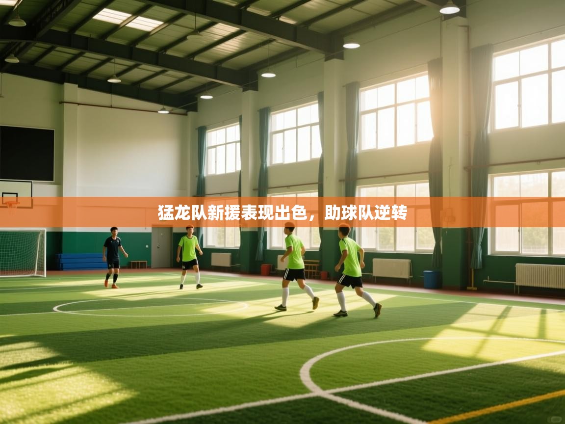 猛龙队新援表现出色，助球队逆转  第2张