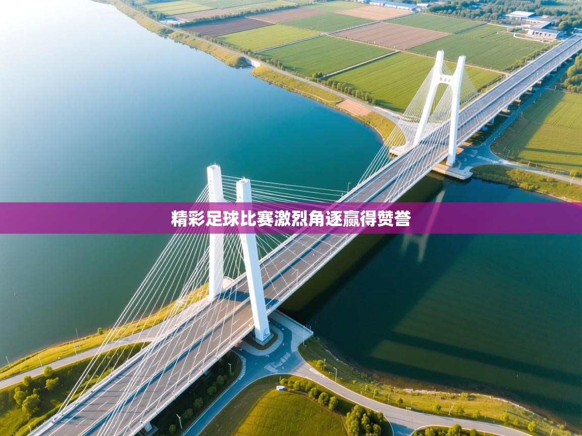 精彩足球比赛激烈角逐赢得赞誉